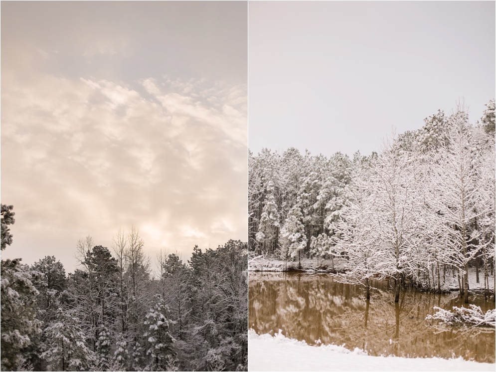 Louisiana Photographer