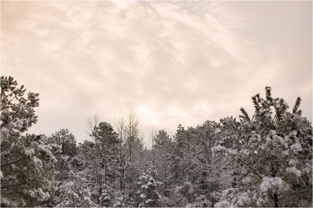 Louisiana Photographer