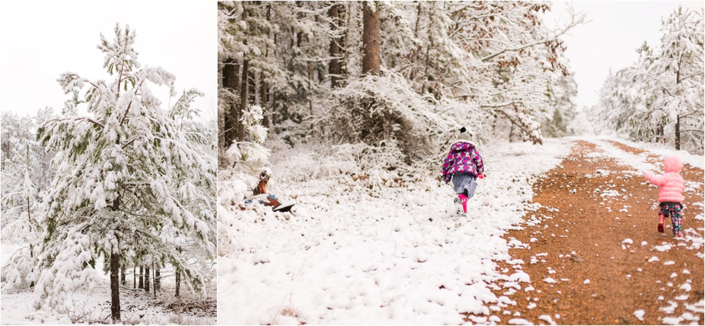 Louisiana Photographer