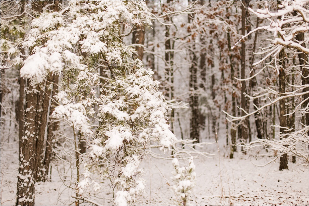 Louisiana Photographer