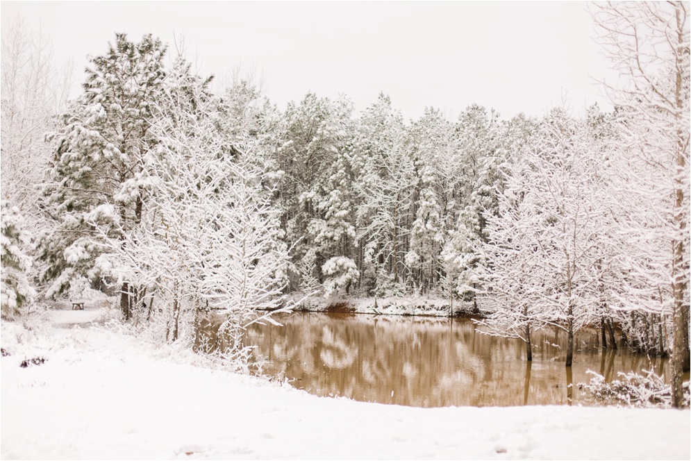 Louisiana Photographer