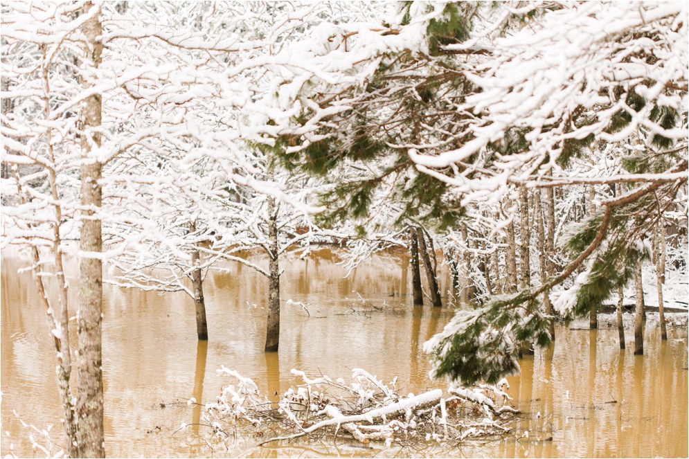 Louisiana Photographer