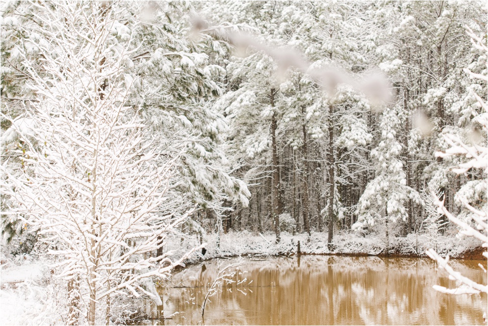 Louisiana Photographer