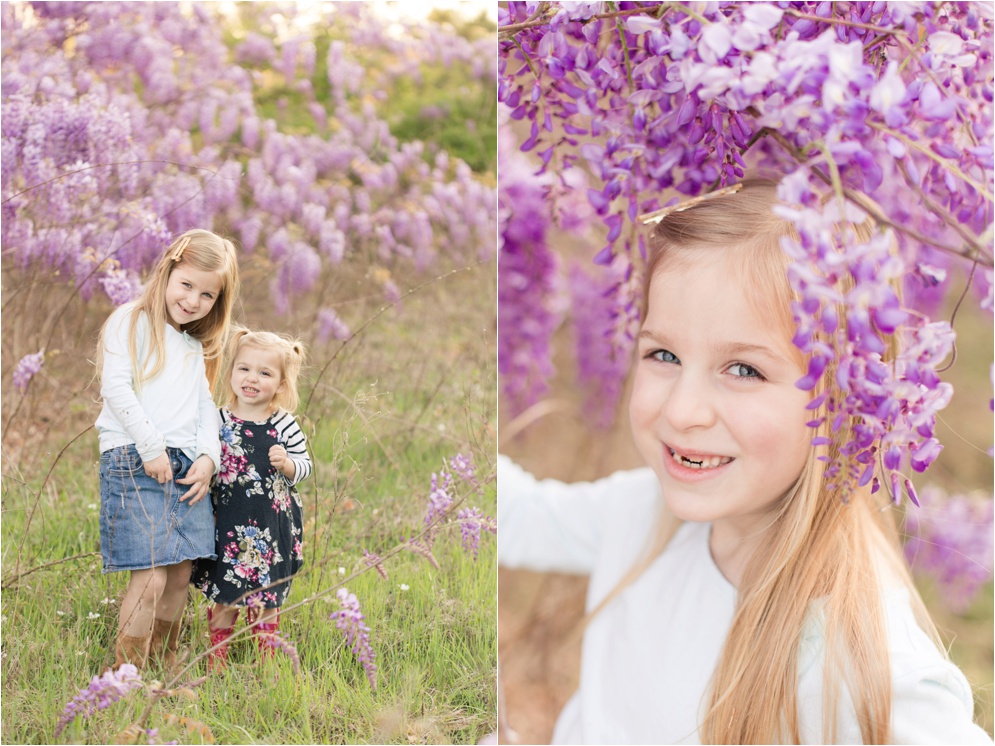 Louisiana Wisteria Minden Louisiana