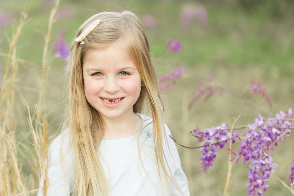 Louisiana Wisteria Minden Louisiana