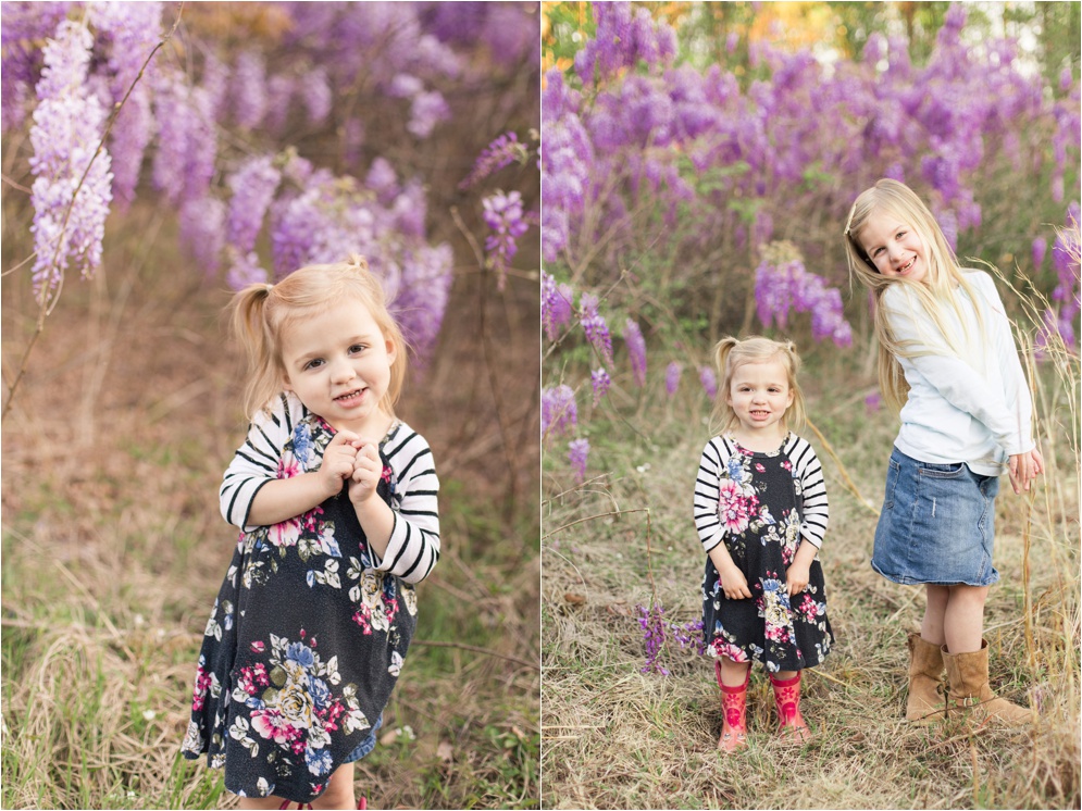 Louisiana Wisteria Minden Louisiana