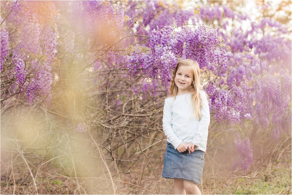 Louisiana Wisteria Minden Louisiana