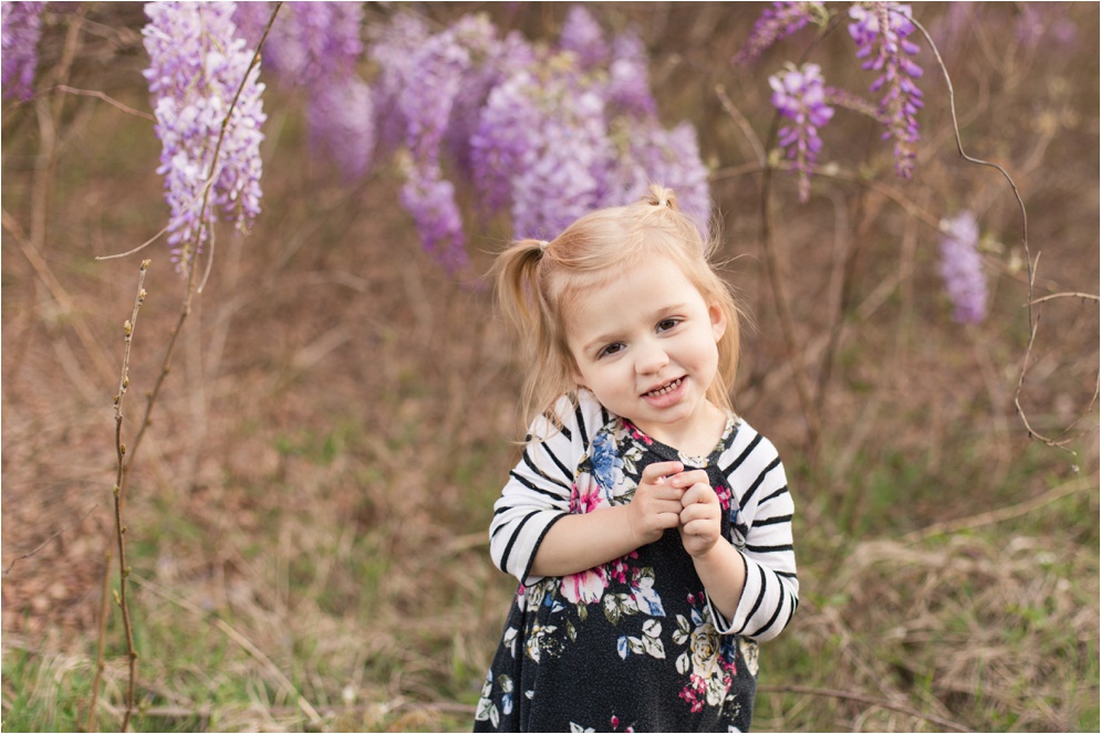 Louisiana Wisteria Minden Louisiana