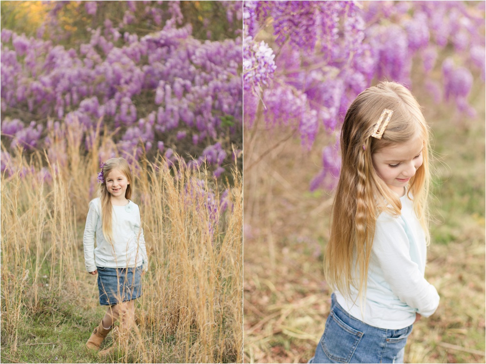 Louisiana Wisteria Minden Louisiana