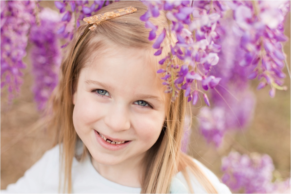 Louisiana Wisteria Minden Louisiana