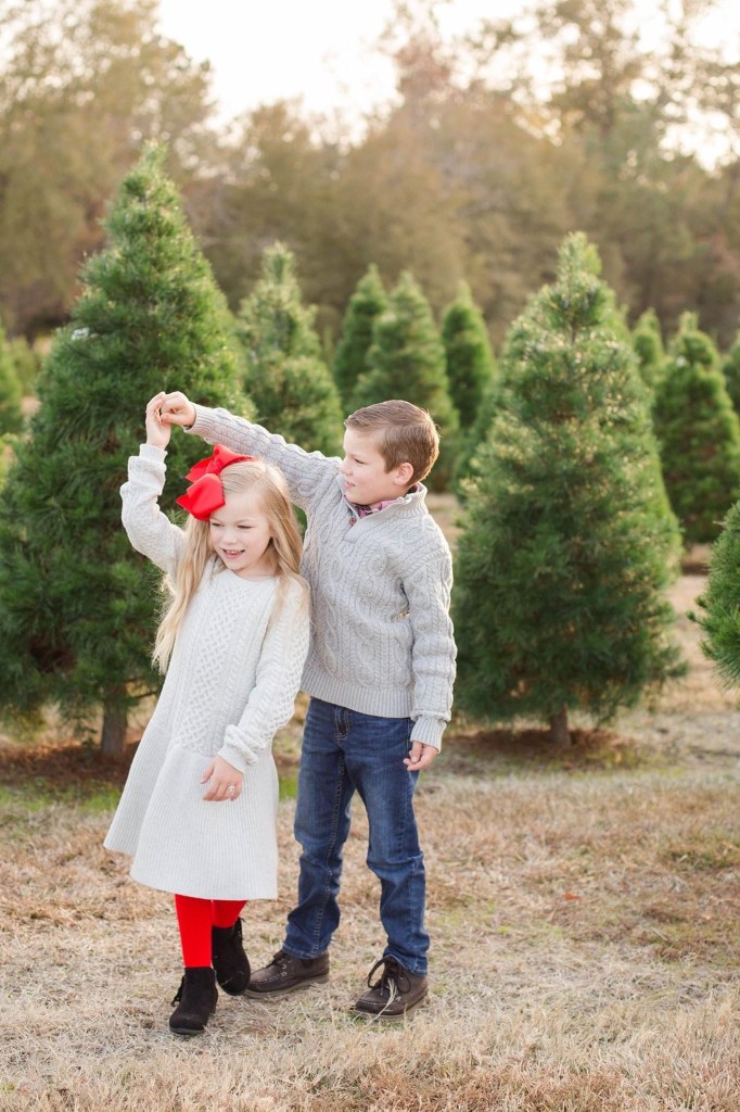 North Louisiana Christmas tree farm photos