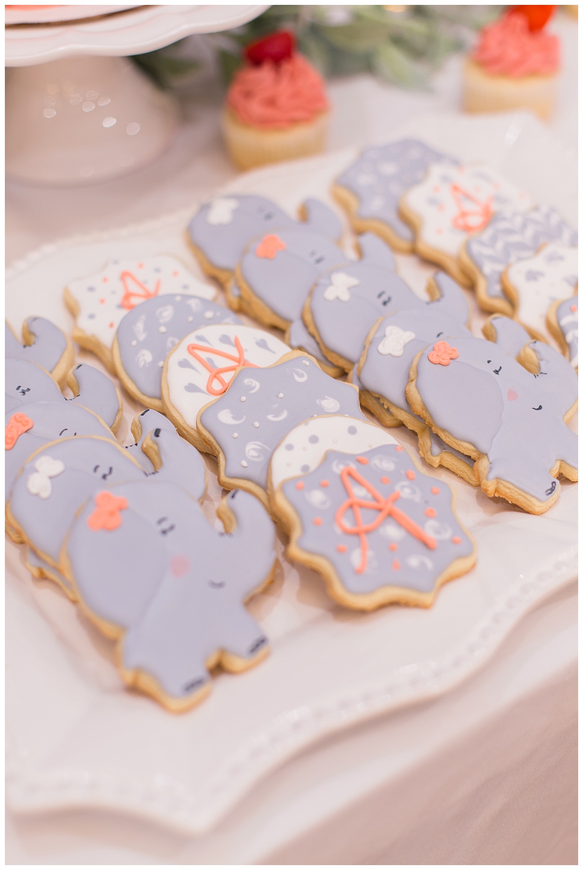 Minden Louisiana Photographer