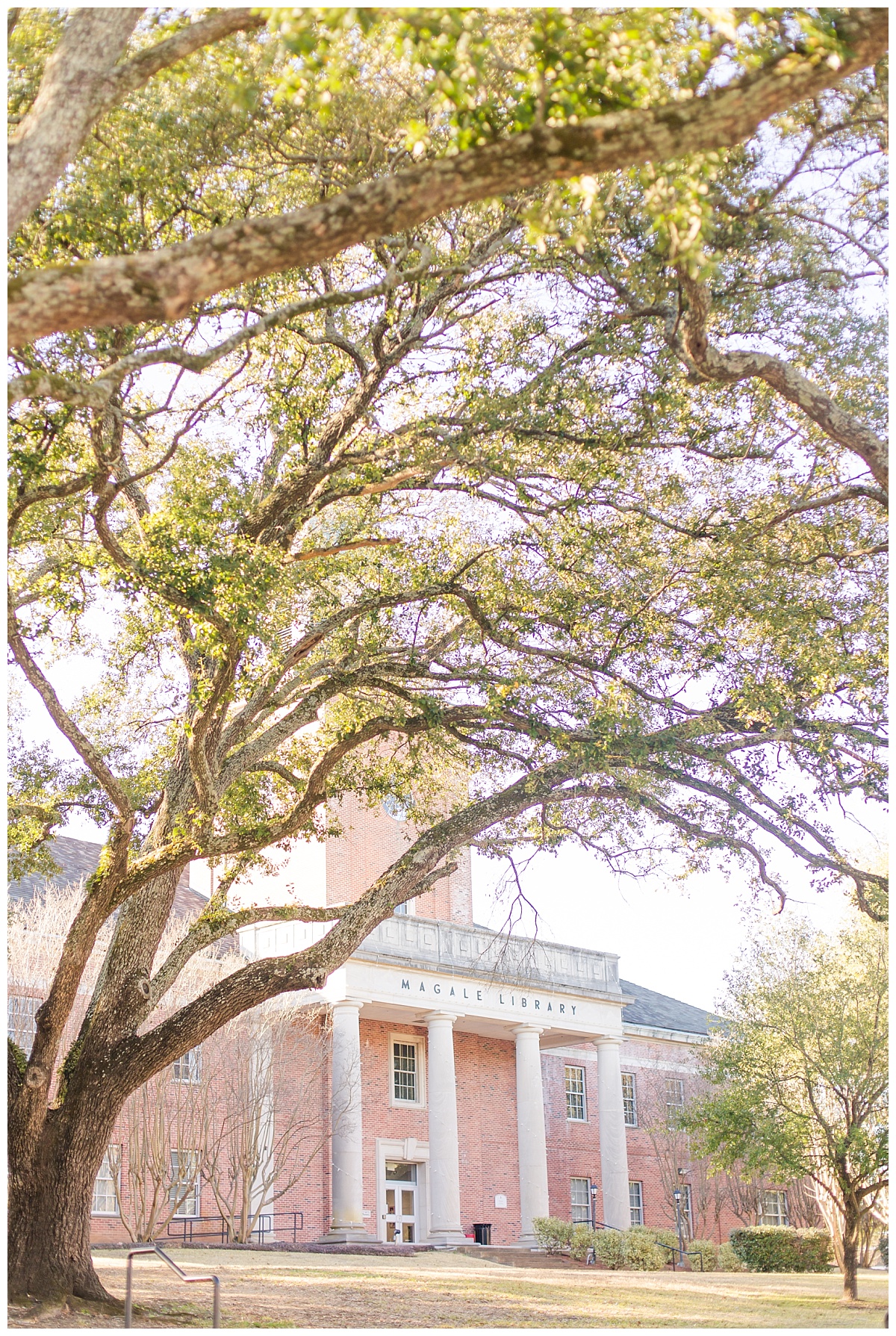 Shreveport Louisiana Photographer