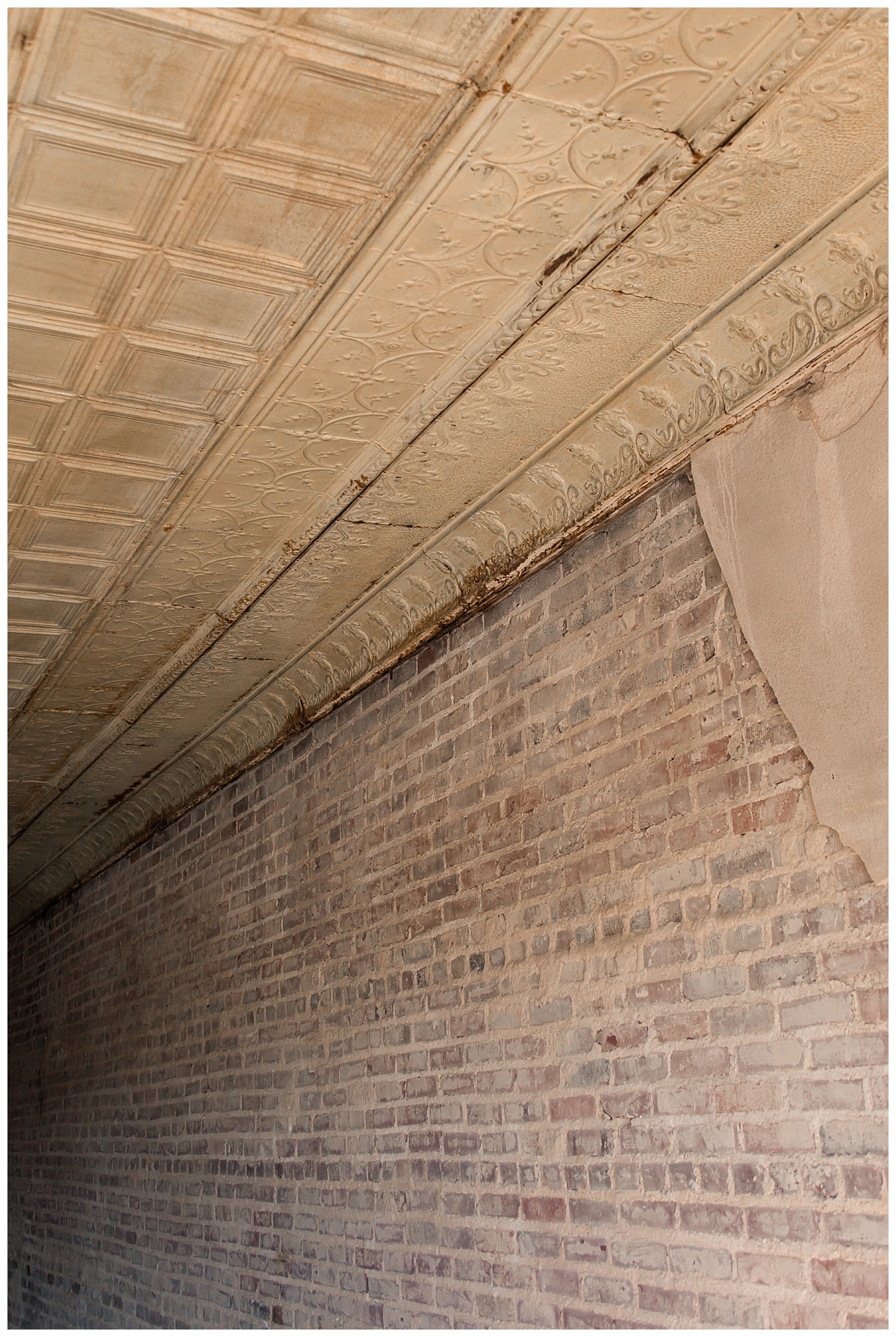 2022-04-12_0009.jpg 2022-04-12_0009.jpg