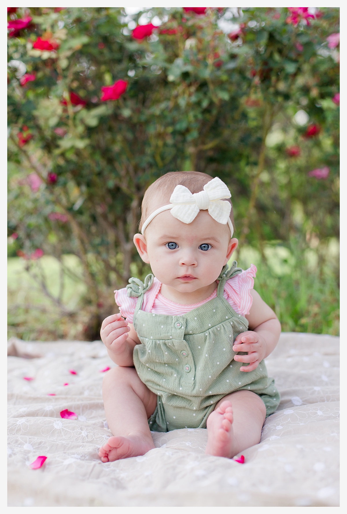 MInden Louisiana Photographer