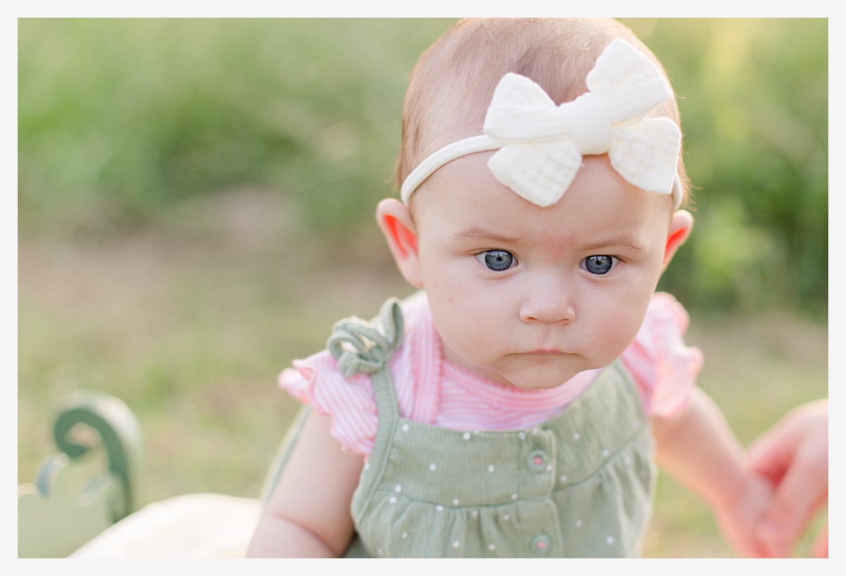 MInden Louisiana Photographer