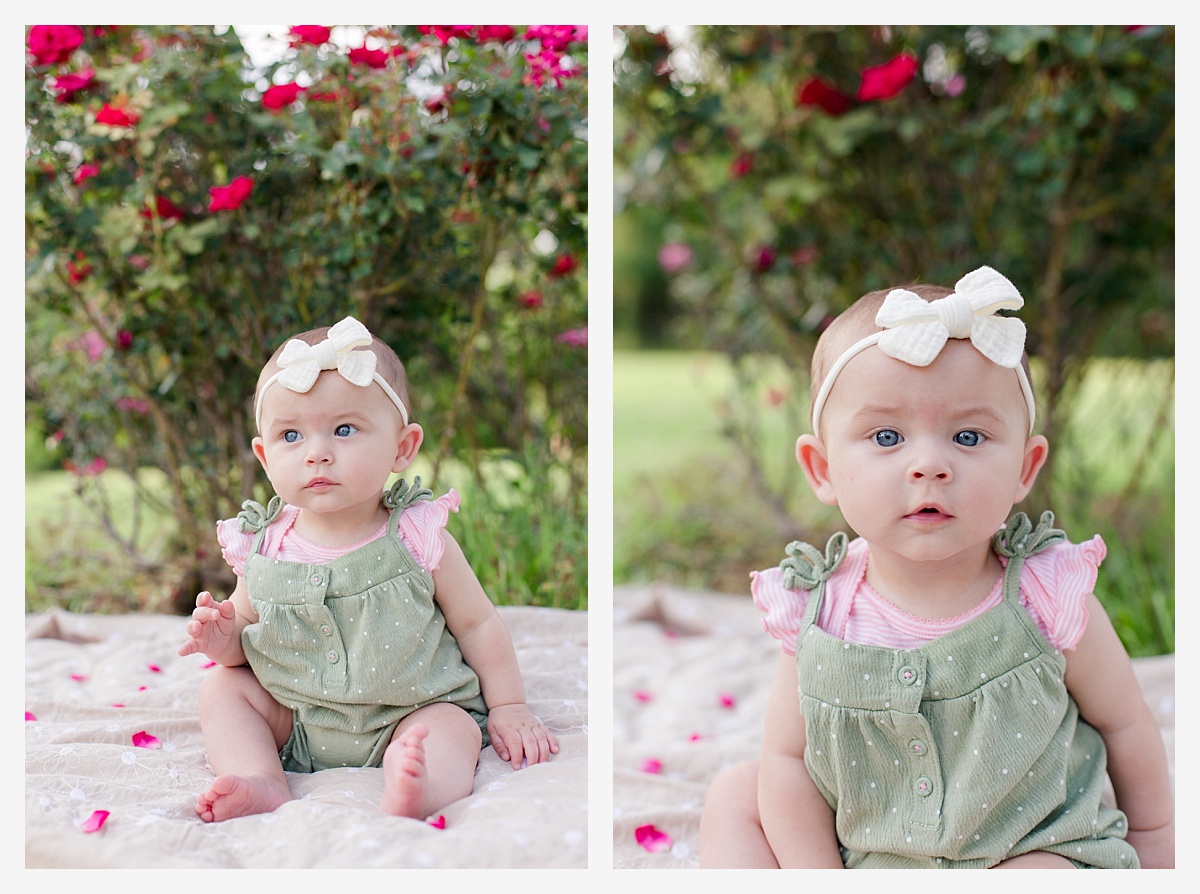 MInden Louisiana Photographer