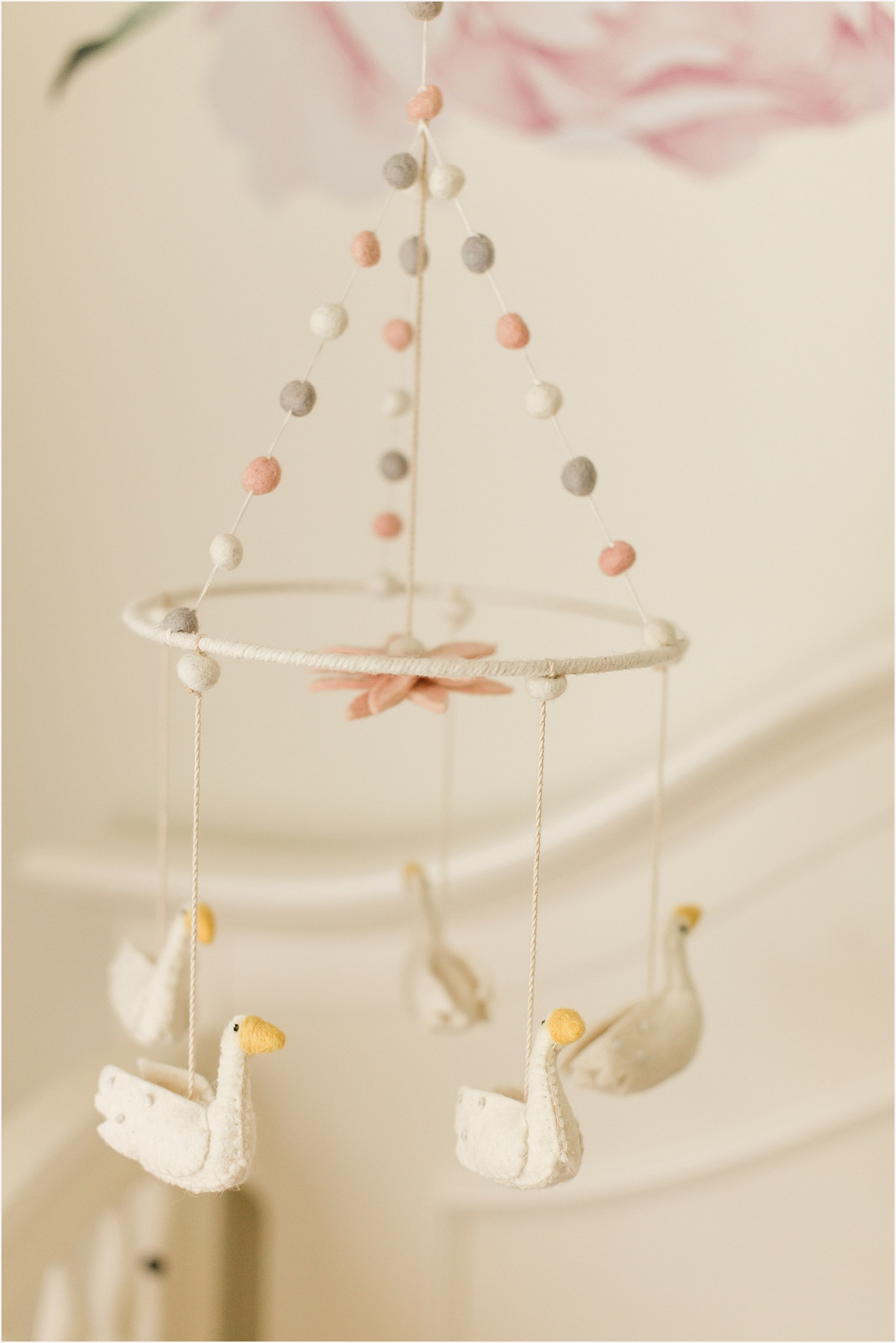 Shreveport Baby Photographer