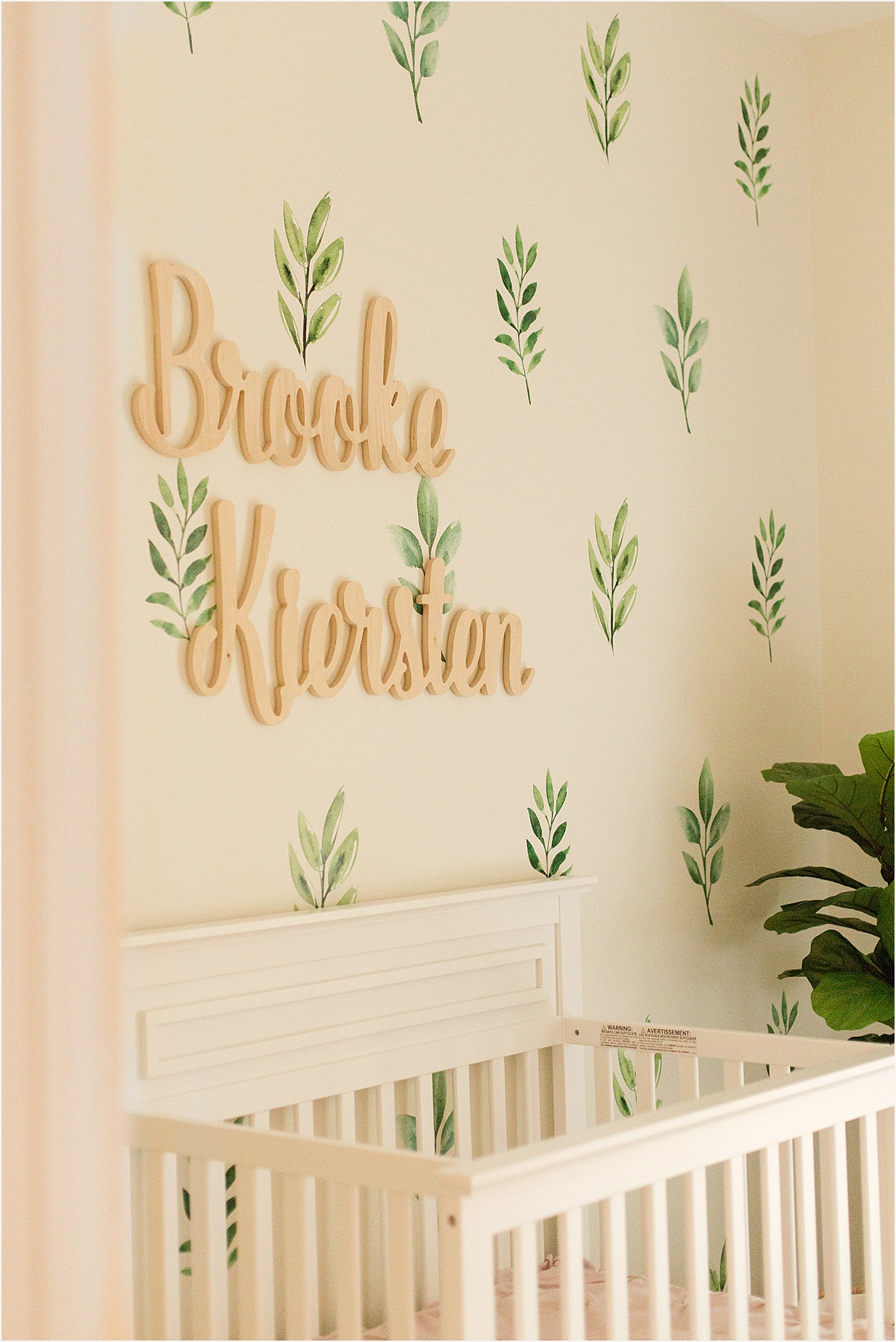 Shreveport Baby Photographer