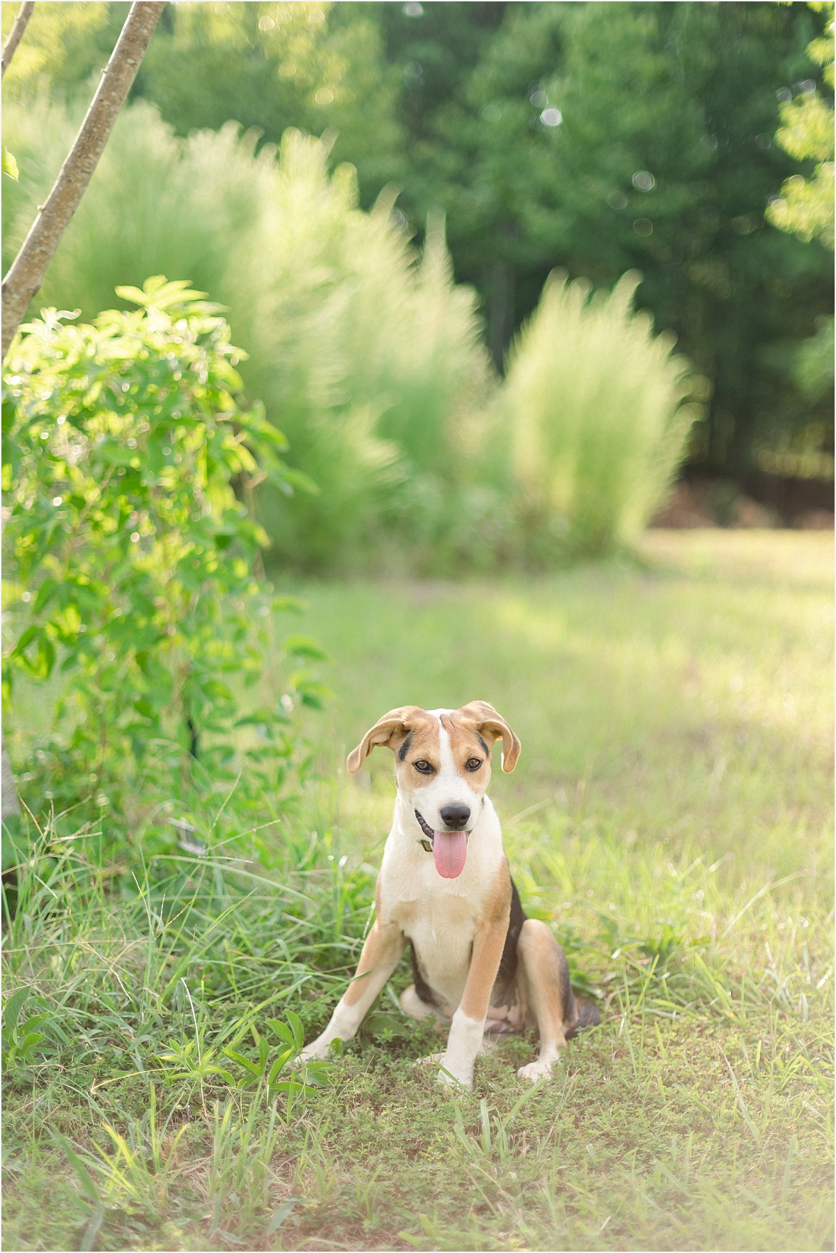 Ruston Louisiana Lifestyle Photographer