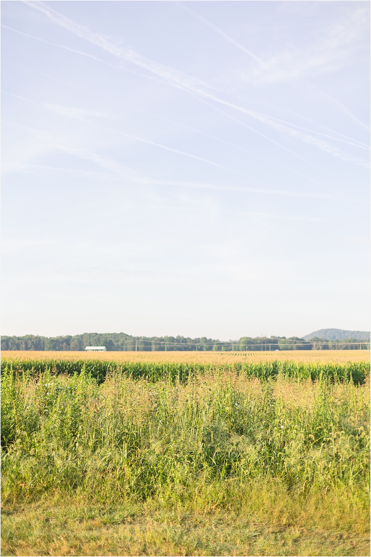 Louisiana Family Photographer