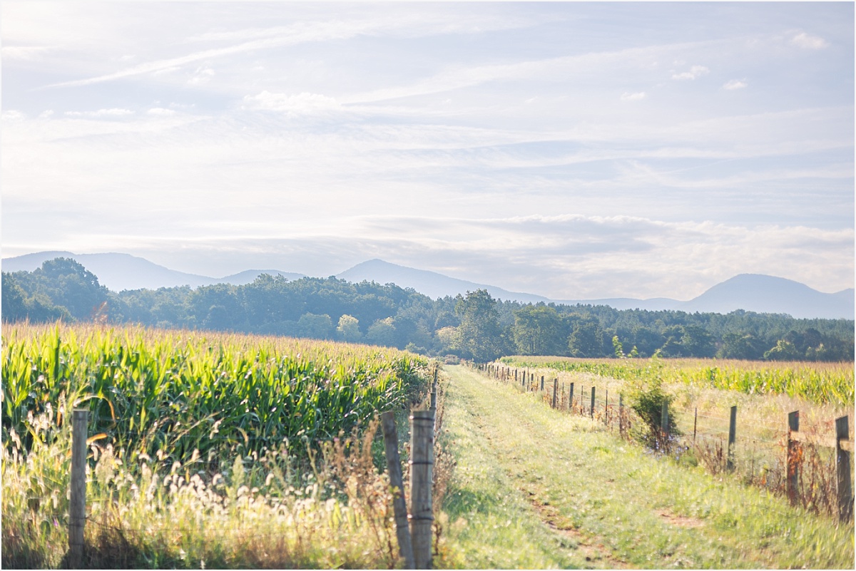 Louisiana Family Photographer
