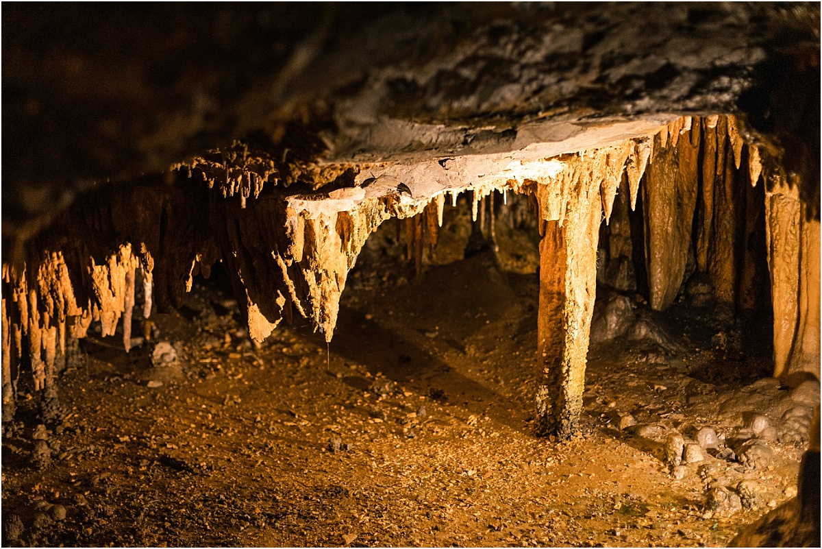 Louisiana Family Photographer