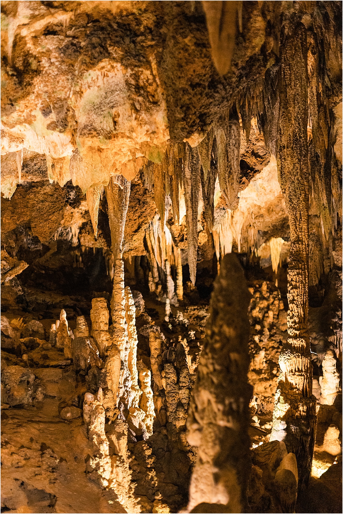 Louisiana Family Photographer