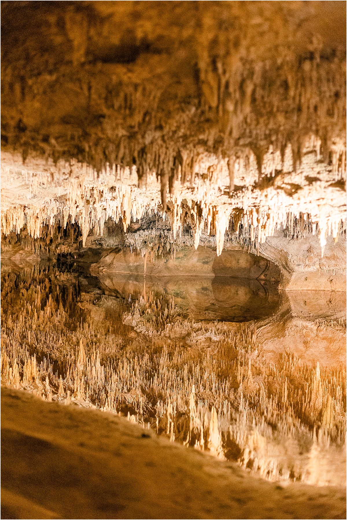 Louisiana Family Photographer