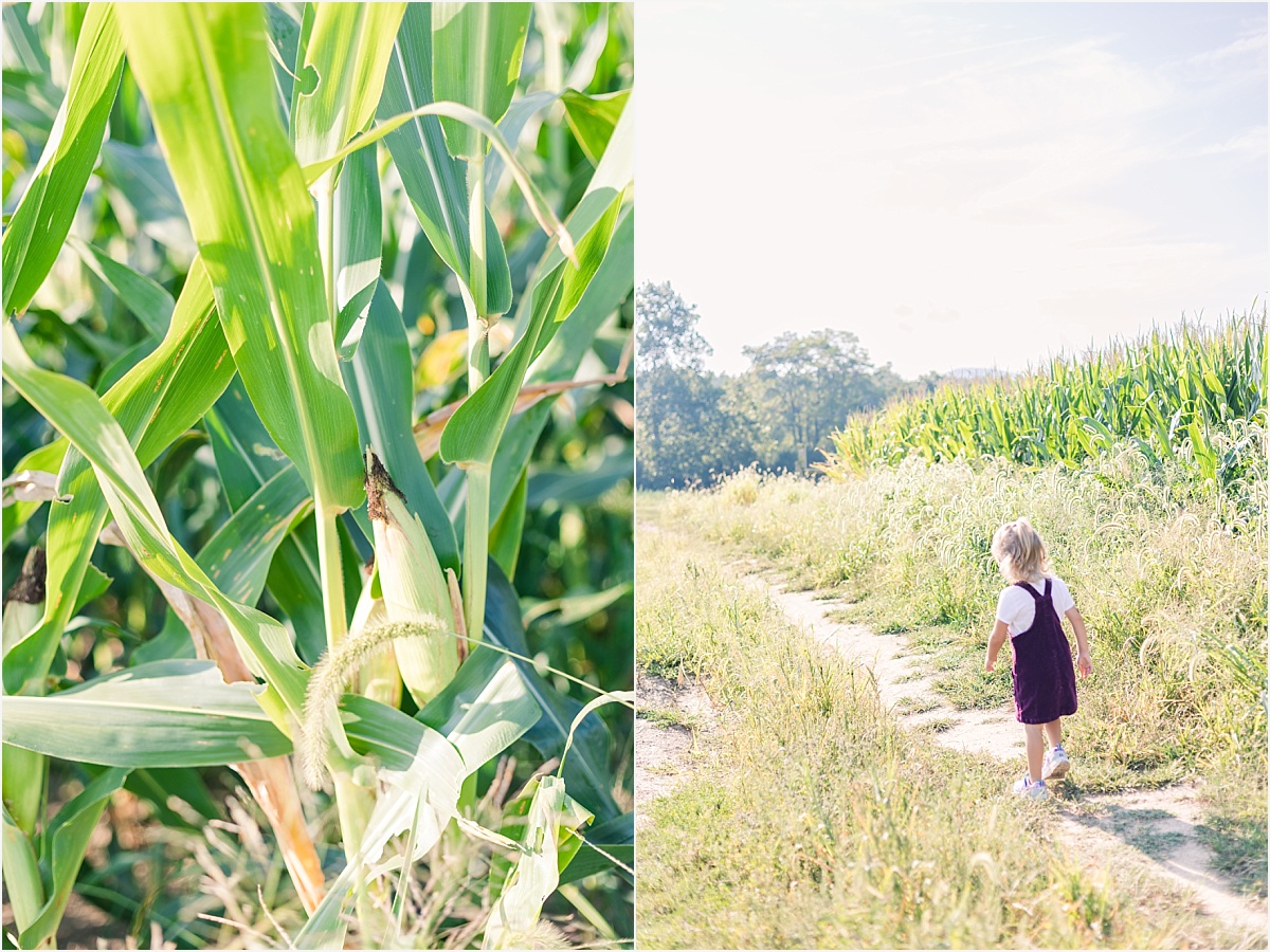 Louisiana Family Photographer