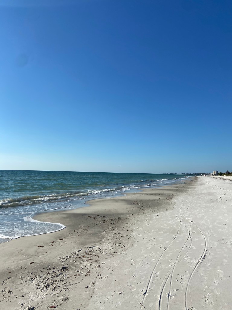 Ruston Louisiana newborn photographer 