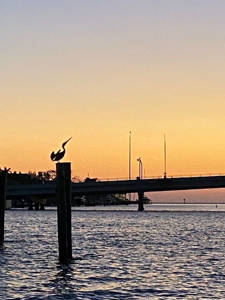 Ruston Louisiana newborn photographer 