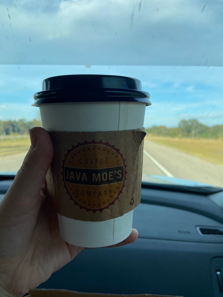 Ruston Louisiana newborn photographer 