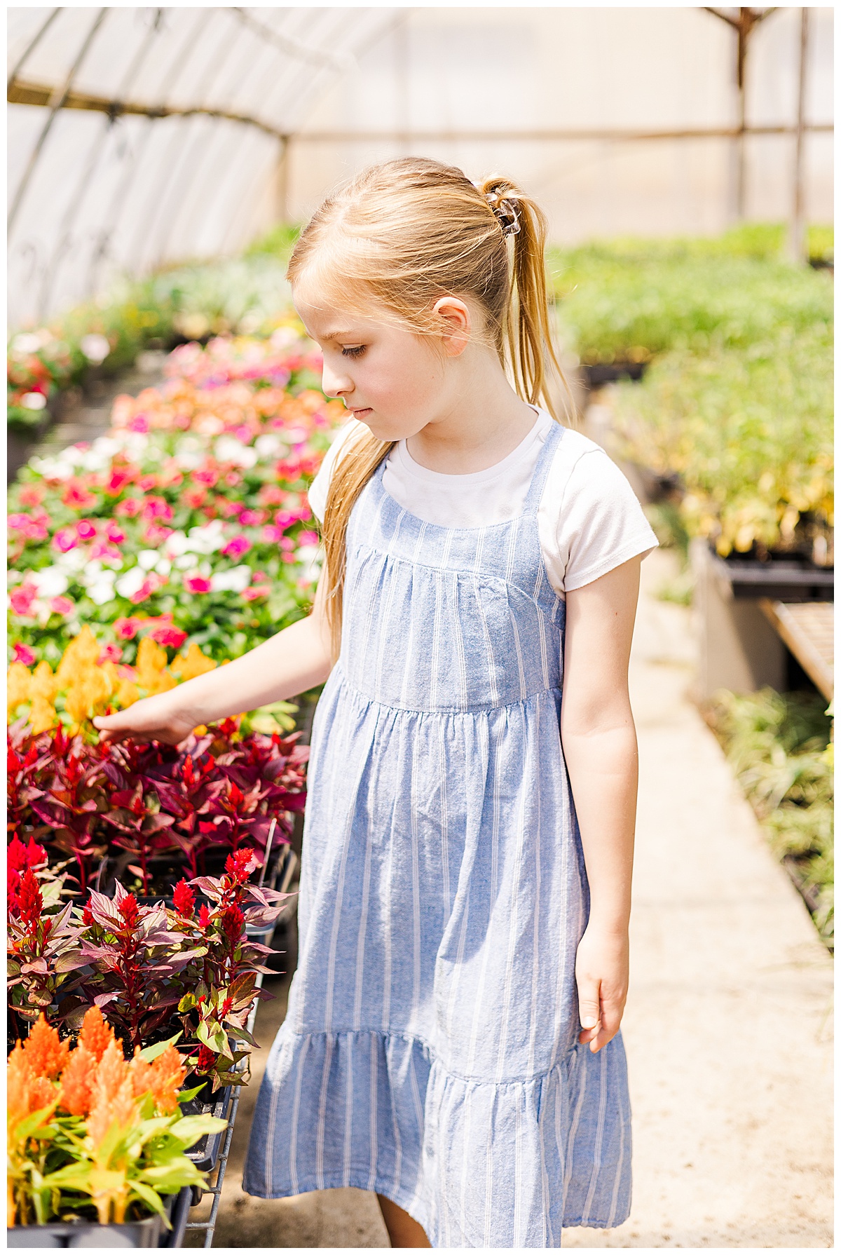 Minden Louisiasna Photographer