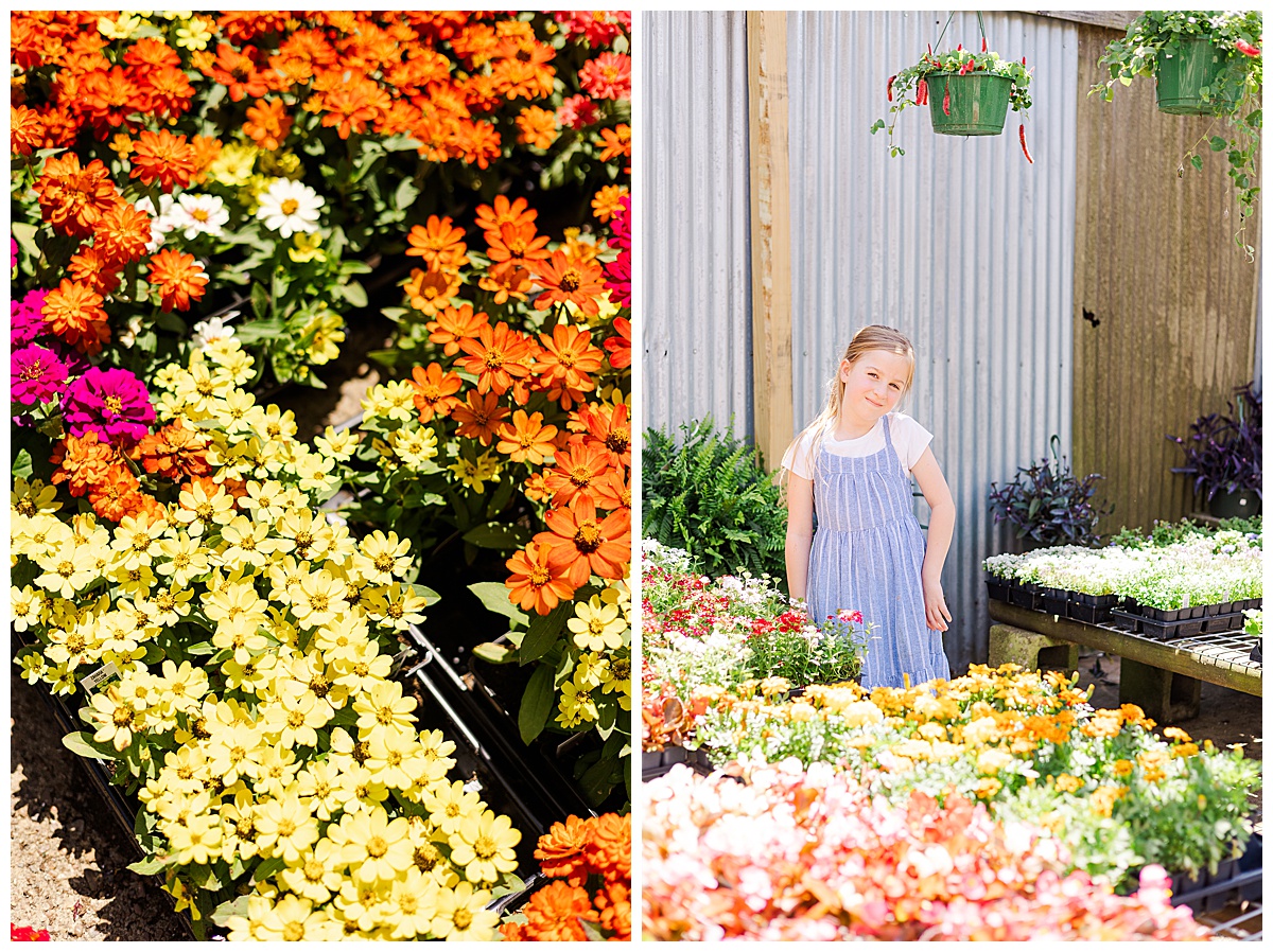 Minden Louisiasna Photographer