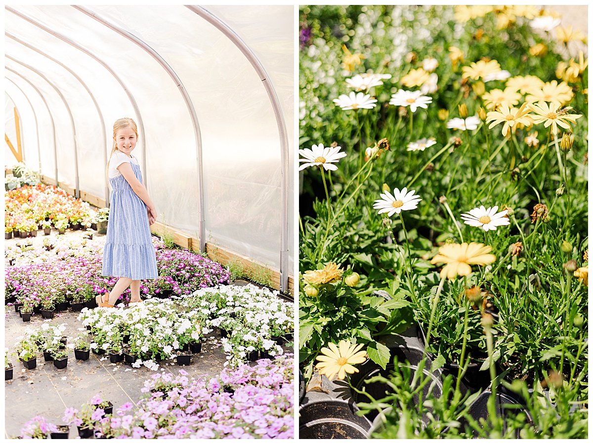 Minden Louisiasna Photographer