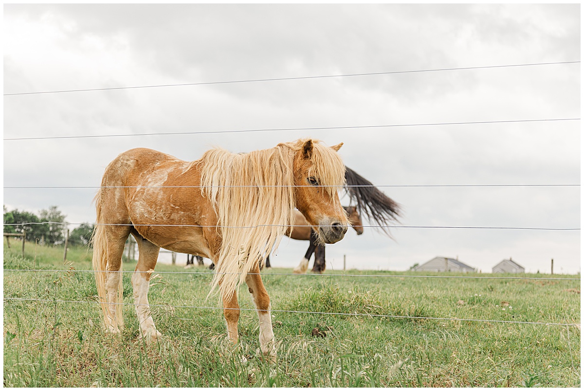 North Louisiana Photographer