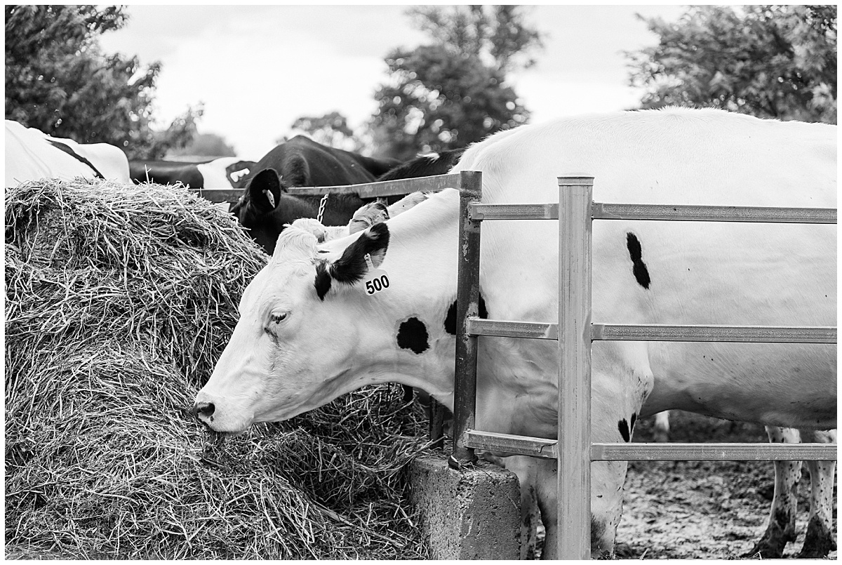 North Louisiana Photographer