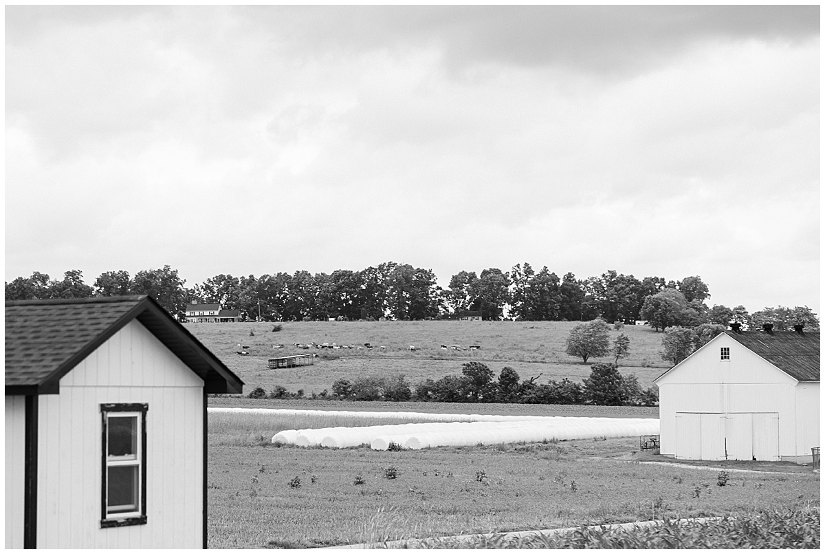 North Louisiana Photographer